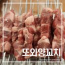 또와양꼬치 이미지