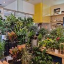 삼성 게임랜드 이미지