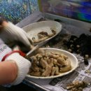 기장종가집곰장어 이미지