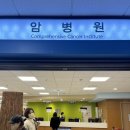해암양만 네이버블로그