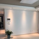 근처에 플렌테리어 샵에서 식물왔어요. 이미지