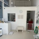 견발소 이미지