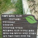 정원식당 앞 이미지