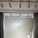 [결혼일기 #12] 인생 유일의 공주놀이 드레스투어 후기, 클라우디아/브라이덜소노/로브드K
