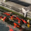 4.13.sun. 비. 삼국지 23 나(I)와 나(me)-손책-소교/대교 이미지