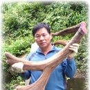 청솔2목장 이미지