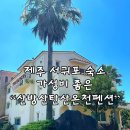 온천 | 제주도 서귀포 산방산 숙소 산방산탄산온천펜션 후기