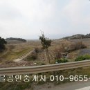 영암군 삼호읍 산호리 답2448제곱,매5억,전남토지매매,영암토지매매, 이미지