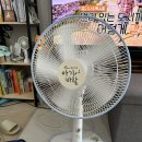 문화전파사 이미지