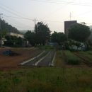 이화리 마을회관 이미지