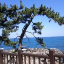 겨울철 보약/ 목도리와 모자 이미지