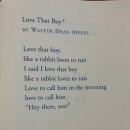 Dog# | 영어독서디베이트 연구모임 후기: Love That Dog