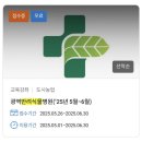 서울 반려식물병원 방문 후기 (식물도 병원을 갈 수 있다?!)