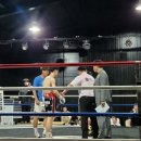 변교선 복싱클럽 이미지