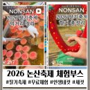 삼성논산 | 2026 논산 딸기축제 후기 무료체험 꿀팁 총정리 (체험부스 소개)