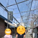 소소화개 이미지