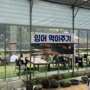아이랑 갈만한 &lt;용인 동천 자연식물원&gt; 방문 후기