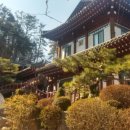 안성맞춤한우촌 이미지