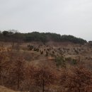 석성농원 이미지
