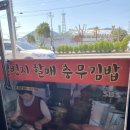 [통영 김밥] 해물라면이 일품! 일번지할매충무김밥