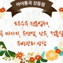 아이통곡 네이버블로그