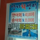 양지회센터 네이버블로그