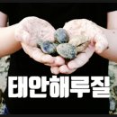 밧개오션텔