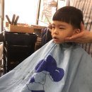 보니토헤어 이미지