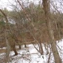 시곡2리 마을회관 이미지