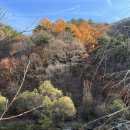 깊은골천 이미지