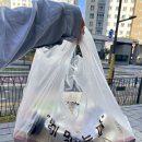 마석피자 자가제빵 선명희피자 남양주화도점 포장하면 할인까지