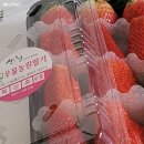 장희농장 이미지