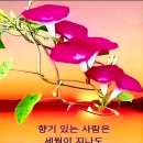 크랩 멘탈리티 이미지