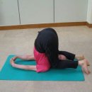 청춘 요가 이미지