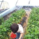 정서농장 이미지