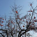 종봉농장 이미지