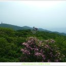 소백산 연화봉(철쭉산행)5월 31일(일) 이미지