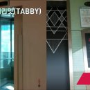 중흥엘리베이터(주) 이미지