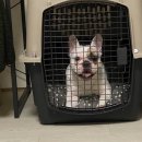 프불하우스 이미지