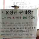 거시기삼계탕