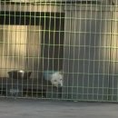 차상로18번길 이미지