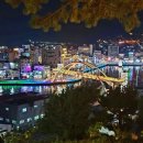 중앙동233 이미지