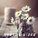 2023.10.6.(양띠방출부) 금요일 ♤ 성숙 ♤ 이미지