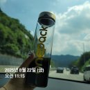 시너지다이어트 원팩 후기 여행 후 붓기와 체중 회복 성공기