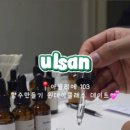 프리지아103
