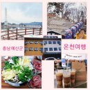 파인글로브 이미지
