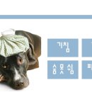 또치PC 이미지