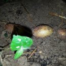 선은농장 이미지