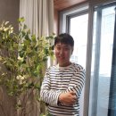 산돌사회적협동조합 이미지