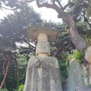 임천초등학교 | 성흥산 대조사와 사랑나무